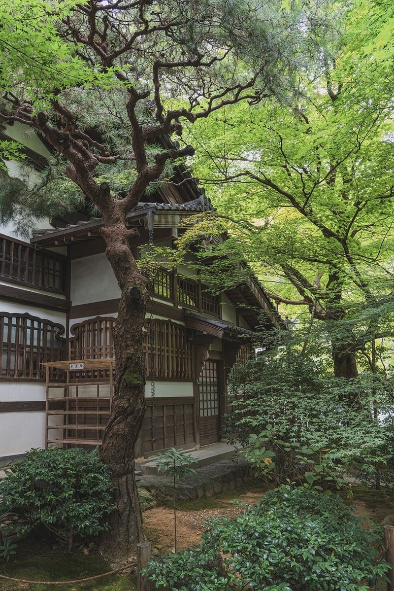 Zen rock garden